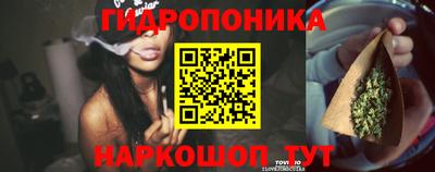 эйфоретик Аргун