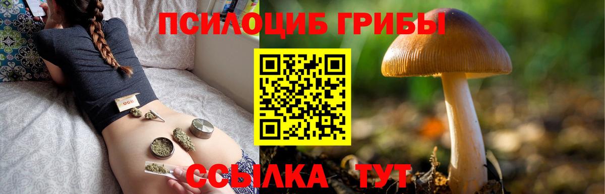 Галлюциногенные грибы мицелий  Галлюциногенные грибы прущие грибы  Вход с VPN  Балахна 